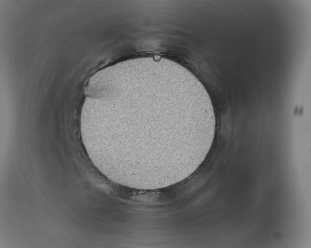 X0000112731201200909171119