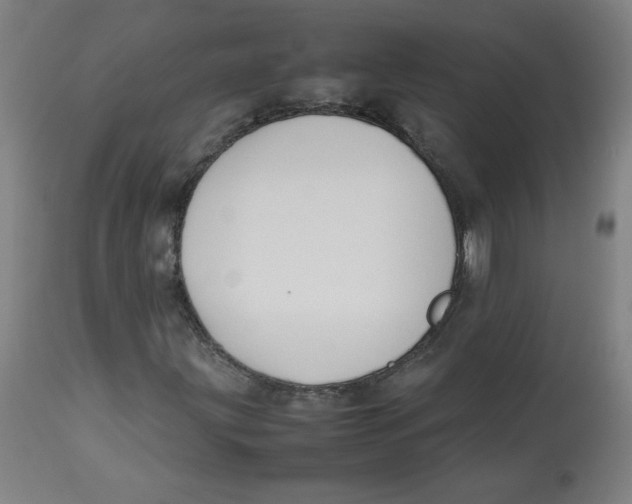 X0000112731203200909171119