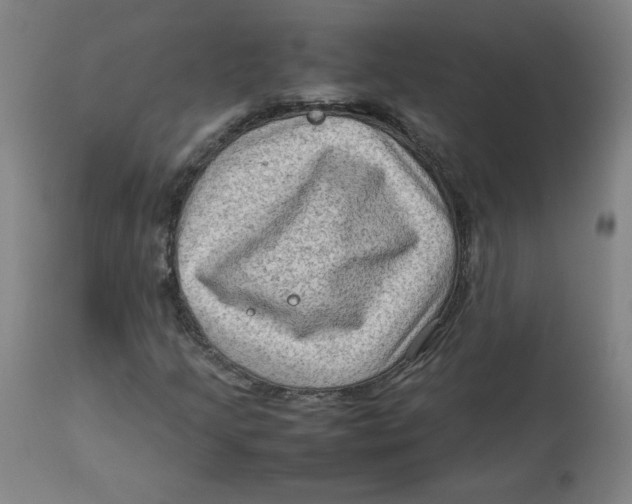 X0000112731205200909171119