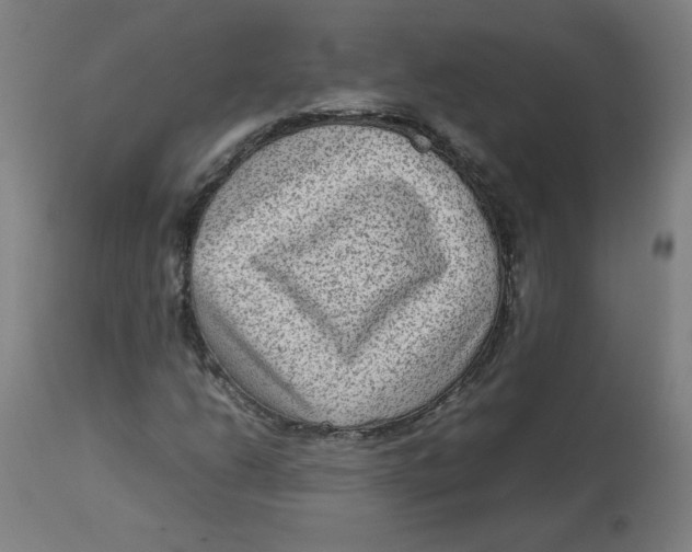 X0000112731206200909171119