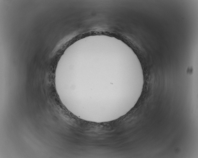 X0000112731207200909171119