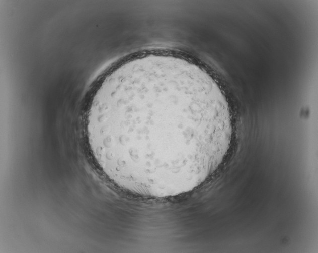 X0000112731208200909171119