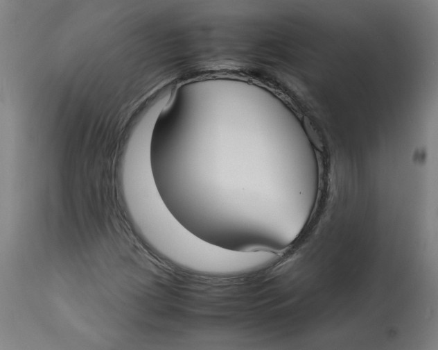 X0000112731209200909171119