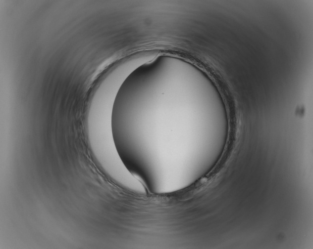 X0000112731210200909171119