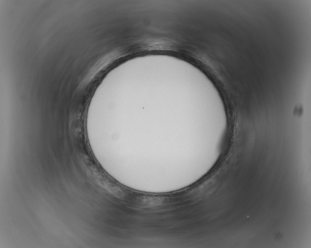 X0000112731211200909171119