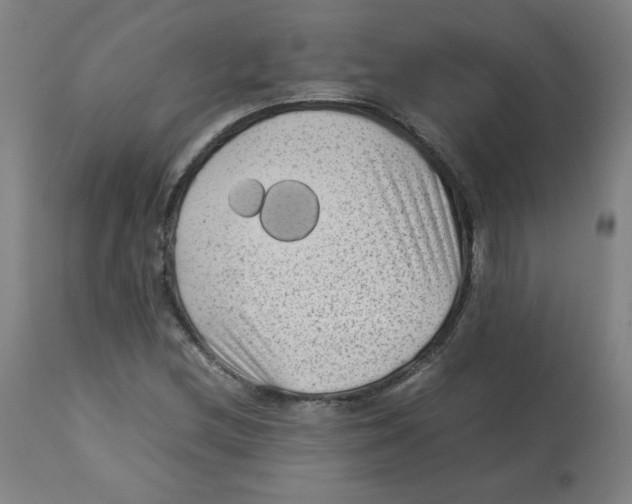 X0000112731212200909171119