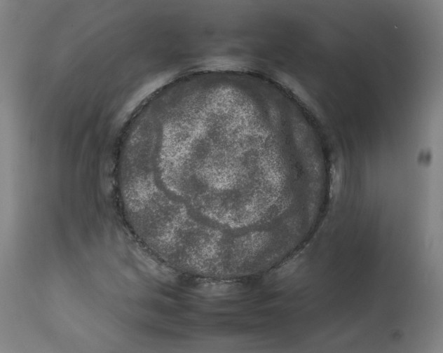 X0000112731213200909171119