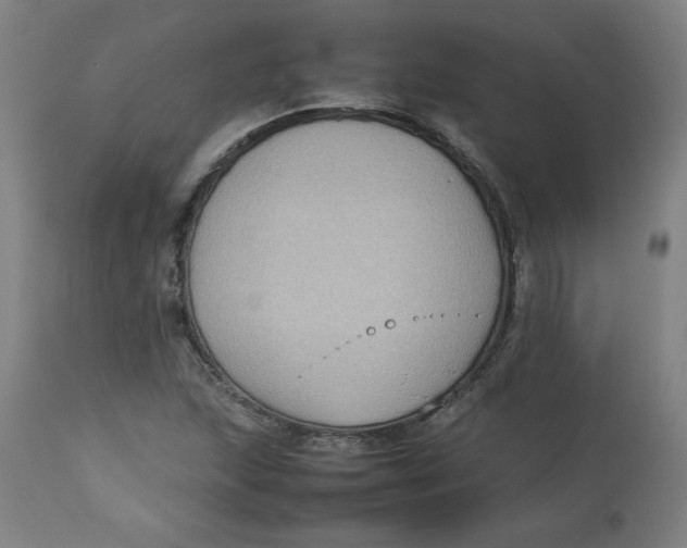 X0000112731215200909171119