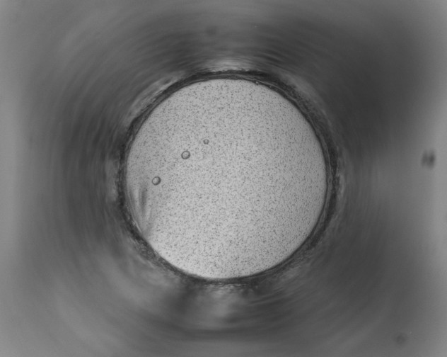 X0000112731217200909171119