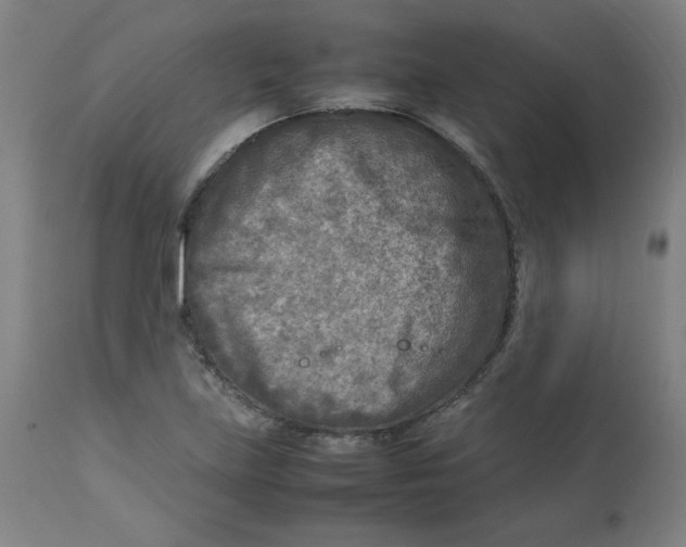 X0000112731219200909171119