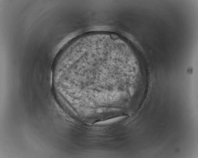 X0000112731221200909171119
