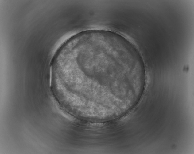 X0000112731223200909171119