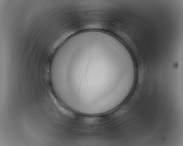 X0000112731225200909171119