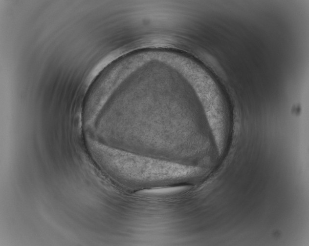 X0000112731226200909171119