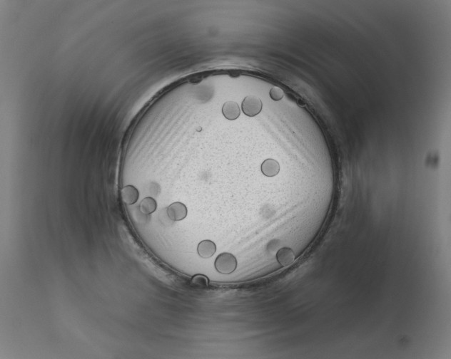 X0000112731228200909171120