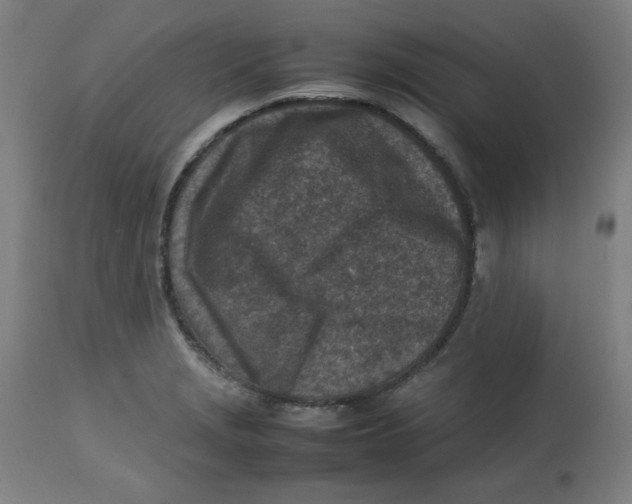 X0000112731229200909171120