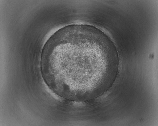 X0000112731231200909171120