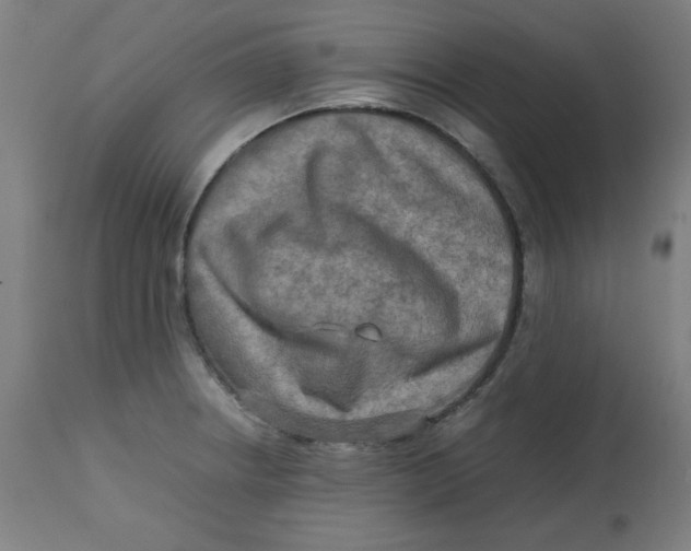 X0000112731234200909171120