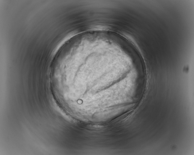 X0000112731235200909171120