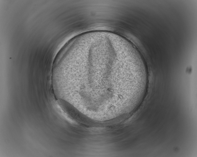 X0000112731236200909171120