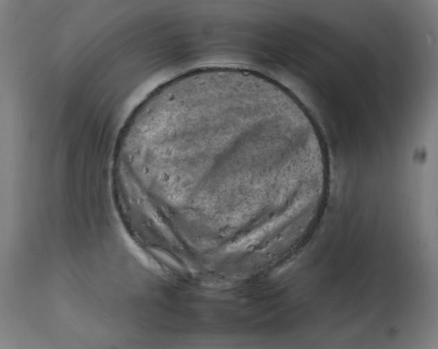 X0000112731237200909171120