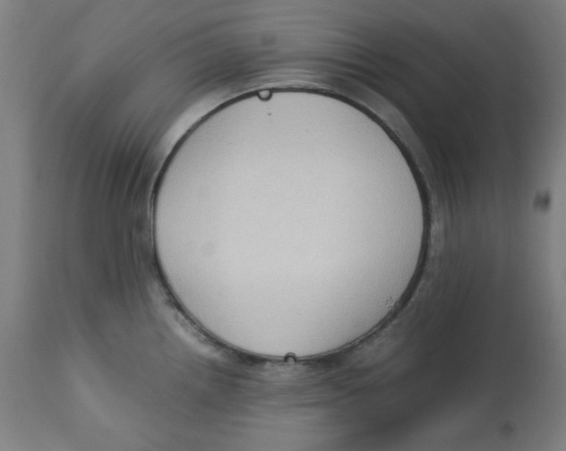 X0000112731242200909171120