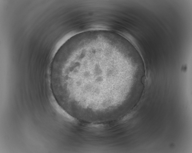 X0000112731243200909171120