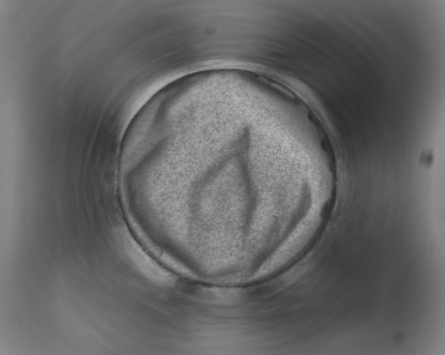 X0000112731244200909171120