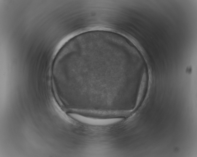 X0000112731246200909171120