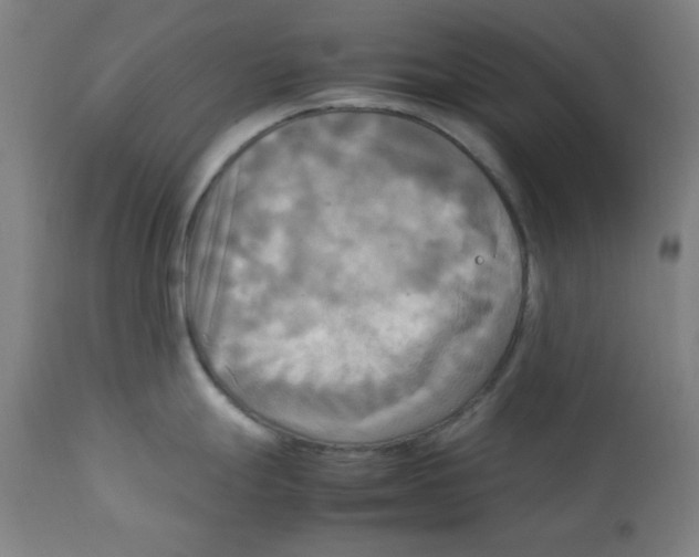 X0000112731247200909171120