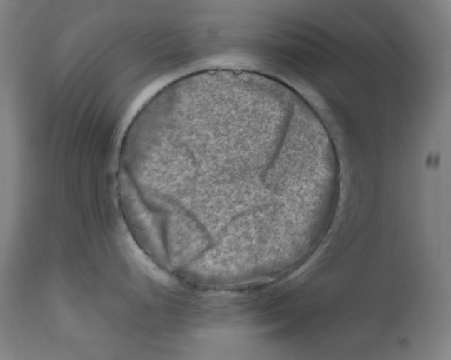 X0000112731248200909171120