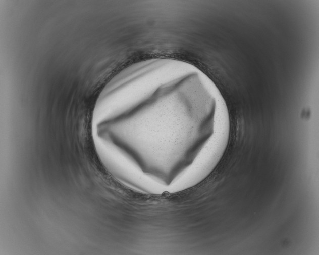 X0000112731250200909171119