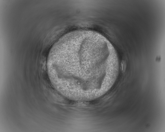 X0000112731251200909171119