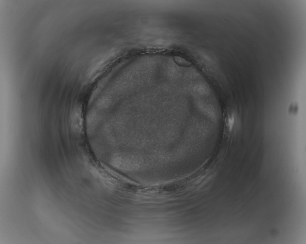 X0000112731252200909171119