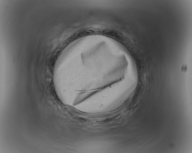 X0000112731253200909171119