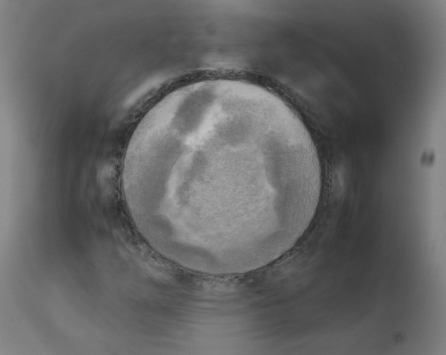 X0000112731254200909171119