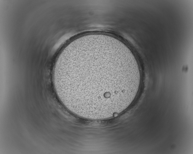 X0000112731259200909171119