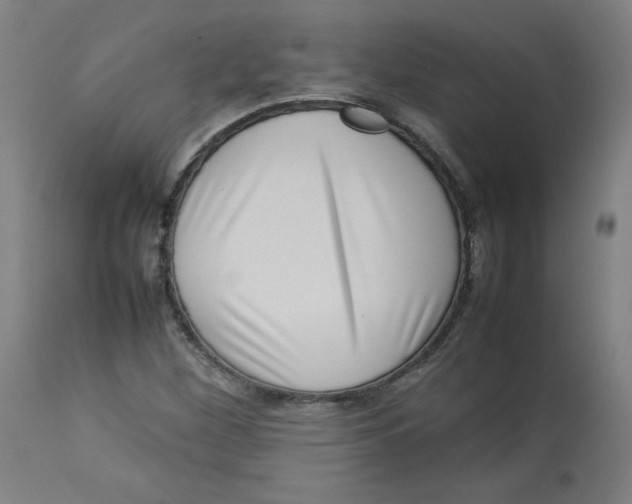 X0000112731260200909171119