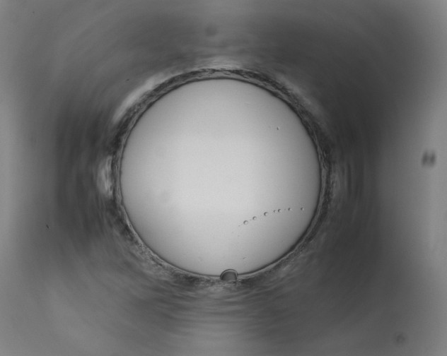 X0000112731262200909171119