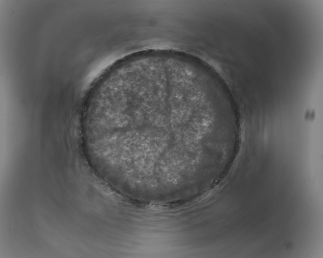 X0000112731263200909171119