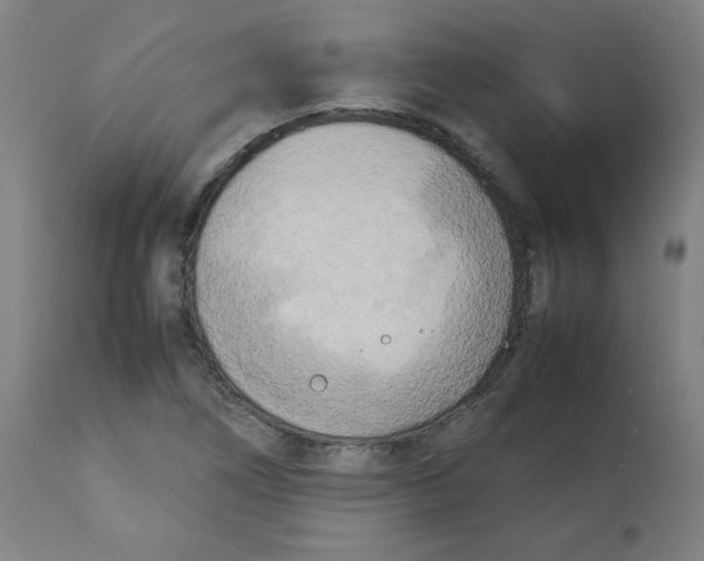 X0000112731266200909171119