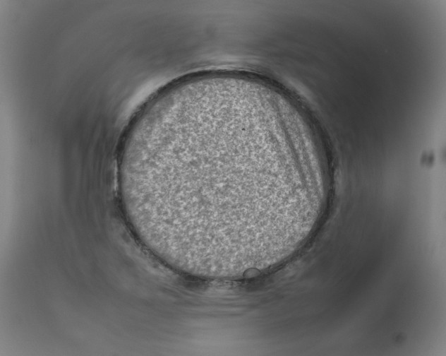 X0000112731267200909171119