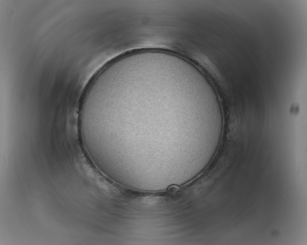 X0000112731268200909171119