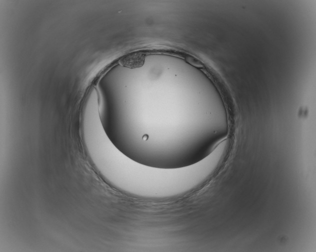 X0000112731269200909171119