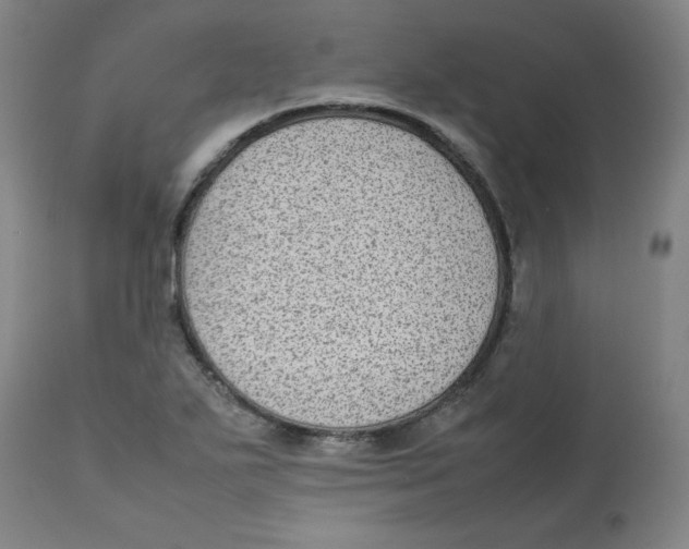 X0000112731271200909171119