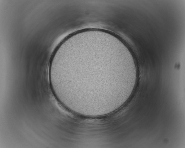 X0000112731272200909171119