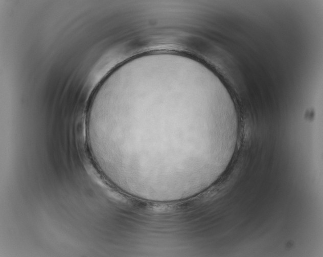 X0000112731274200909171119