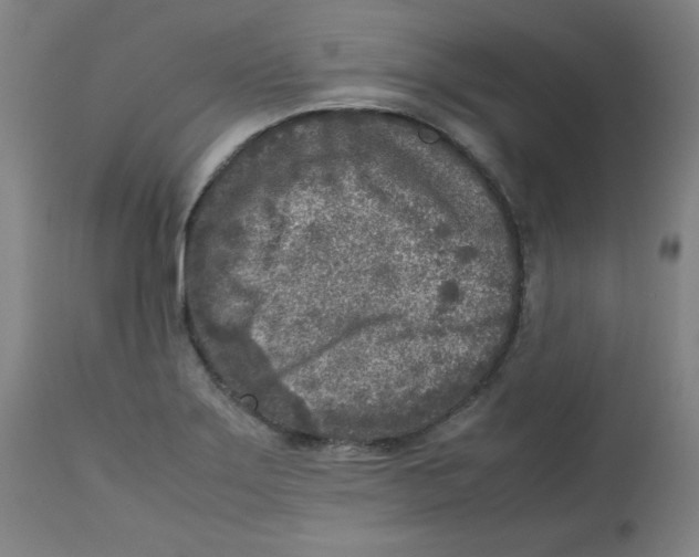 X0000112731275200909171119