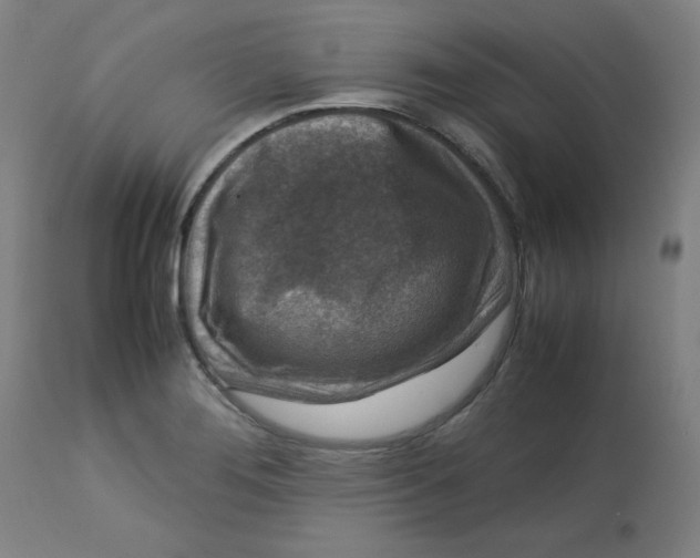 X0000112731276200909171119