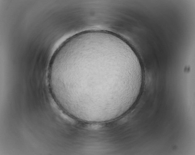 X0000112731278200909171119